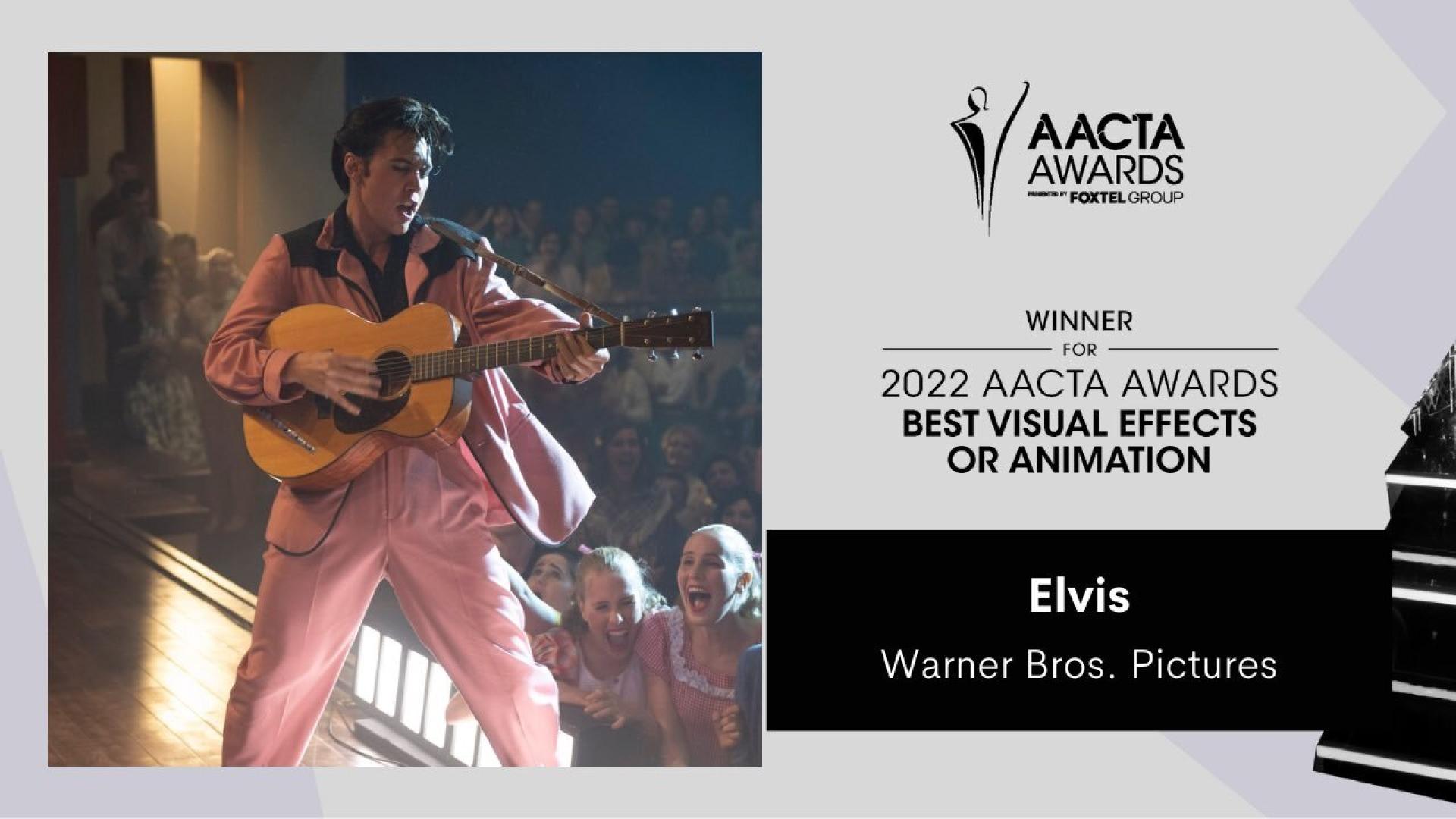 TITAN Women In Business Awards Winner - Fin Design + Effects | Fintastic Rise gallery