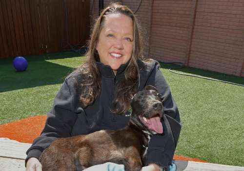 TITAN Women In Business Awards Winner - Stray Rescue of St. Louis - Cassady Caldwell, CEO of Stray Rescue of St. Louis
